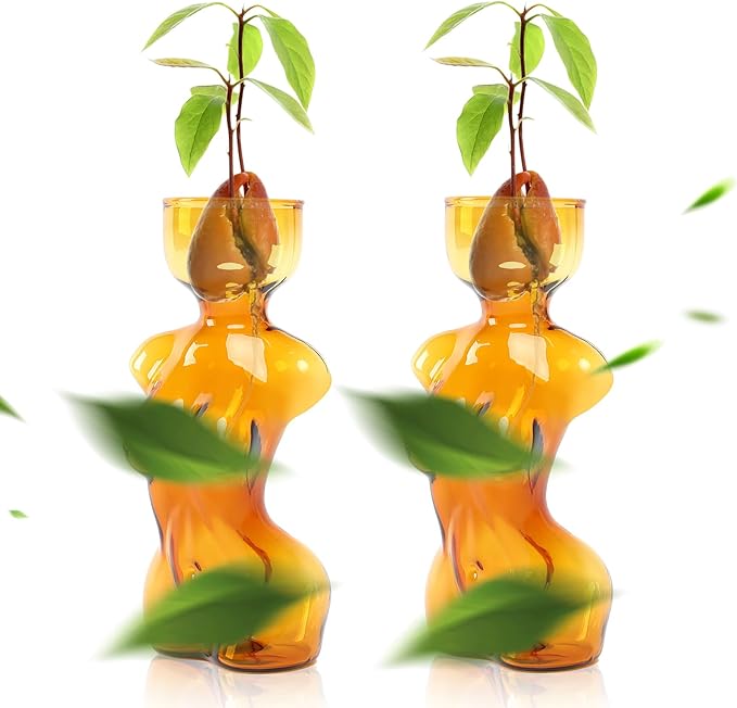 Propagation Vases for Plants Plant Propagation Jars Unique Body Avocado Vase Glass Planter Perfect for Seed Starting Water Rooting and Home Decor Gift for Father