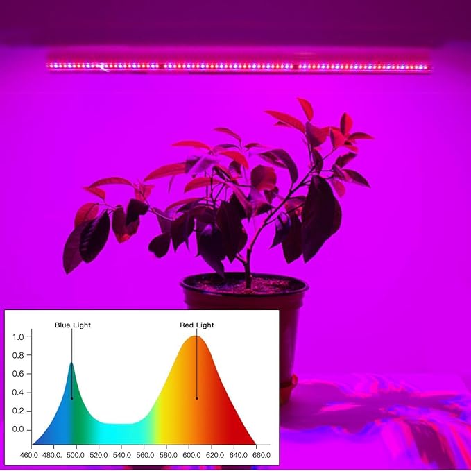 Mini Greenhouse with Grow Light , 4 Tier 27.2" L×19.9" W×61.8" H Portable Greenhouse with Zippered PVC Cover for Seed Starting Trays , Dimmable 2ft 60W Plant Light for Indoor Plant with Timer
