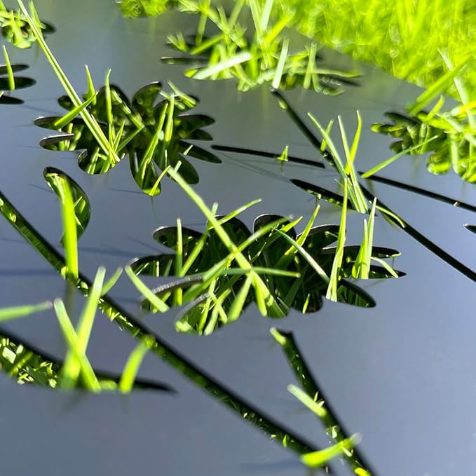 Cat Garden Decor for Outside,17” Metal Cat Decorative Garden Stakes, Gifts for Women/Men/Cats Lovers Gifts, Black Cats Silhouette Outdoor Decor, Rust Proof/Weather Resistant Kitty Yard Art