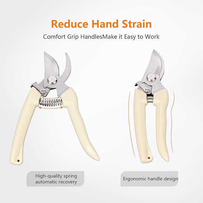 Garden Scissors for Plant, Tip Pruning Shears for Cutting Flowers, Trimming Plants, Bonsai and Fruits Picking (Bypass Blade Pruner)