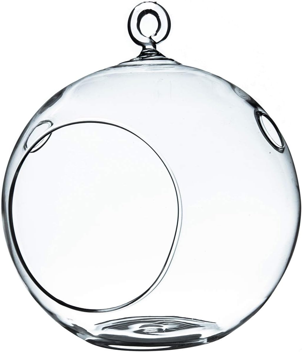 WGV Hanging Terrarium Globe, Width 5", Height 6", DIY Air Succulent Planter, Clear Glass Vase Orb with Flat Bottom, Candle Holder for Windowsill Outdoor Garden Decor, 1 Piece
