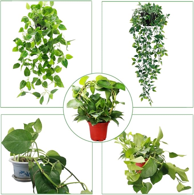 2 Pack Circle Trellis for Climbing Plants Indoor, 15" Gold Small Plant Support Stakes, Flower Houseplant Hoya Support for Potted Plants & Garden Stem Vines