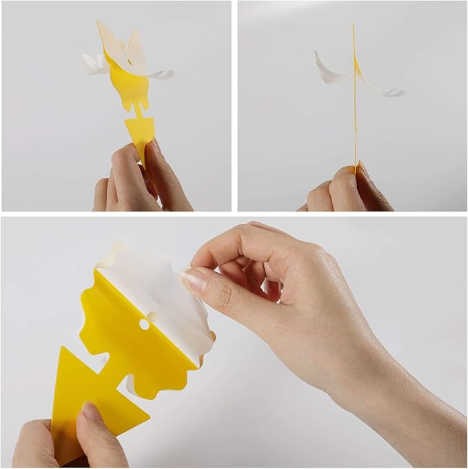 96PCS Fruit Fly Sticky Traps, Gnat Traps Insect Trap for Plants Kitchen Indoor and Outdoor