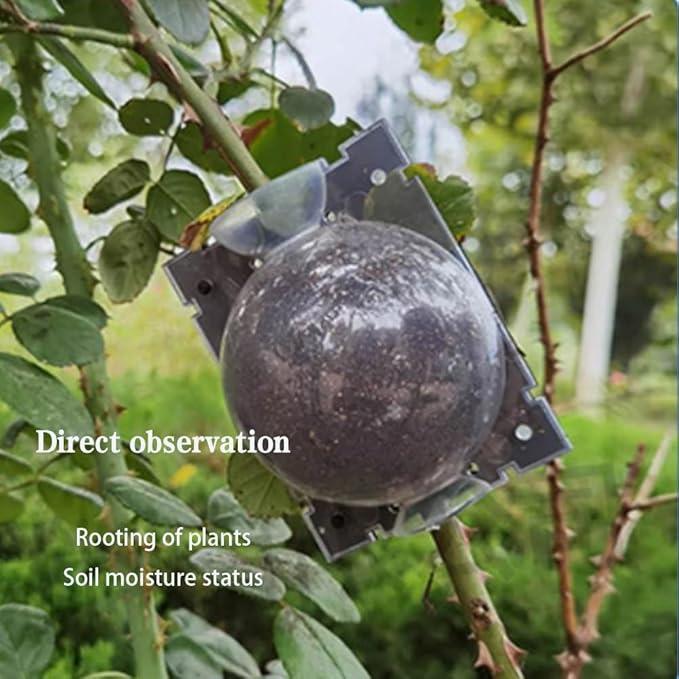 10 Packs Medium Size Plant Rooting Grow Propagation Ball, Reusable Half Transparent Air Layering Pods for Fast Propagation Plants