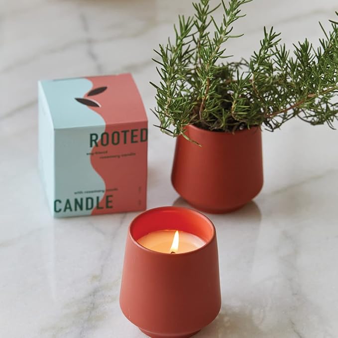 Modern Sprout Rooted Candle - 2 in 1 Cedarwood Scented & Soy Candle with Seeds That Grows into Lavender Plant - 6 oz w/ 42 hr Burn time in Matte Glaze Ceramic Vessel Ideal for Indoor Herb Garden