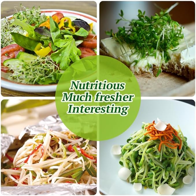 Sprouting Kit,Seed Sprouting Jar Kit,2Pcs Large Wide Mouth Mason Jar with 304 Stainless Steel Screen Sprout Lid,Sprout Jar Stand,Tray,Blackout Sleeves,Sprouts Growing Kit for Broccoli,Mung Bean