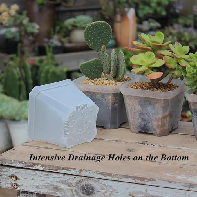 BangQiao 30 Pack Small 3.90 Inch Plastic Square Nursery Pot, Plant Starting and Transplant Planter Container with Drainage Hole for Seed Germination, Clear