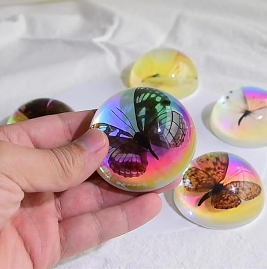 Real Butterfly Specimens, Resin Insect Specimens, Educational Bugs Specimen Set for Kids, Preschool Education, Biology, Insect Lovers (Butterfly Specimens)