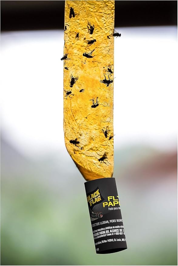 Black Flag Fly Paper, Insect Trap, Catches All Flying Insects 4 Traps (Pack of 12)