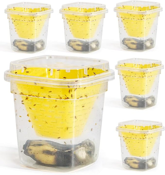 6 Pack Reusable Fruit Fly Trap, Non-Toxic Fruit Fly Catcher, Safe for Kids and Pets Fruit Fly Control, Trap for Alive Fruit Flies, Easy to Use for Kitchen, Home