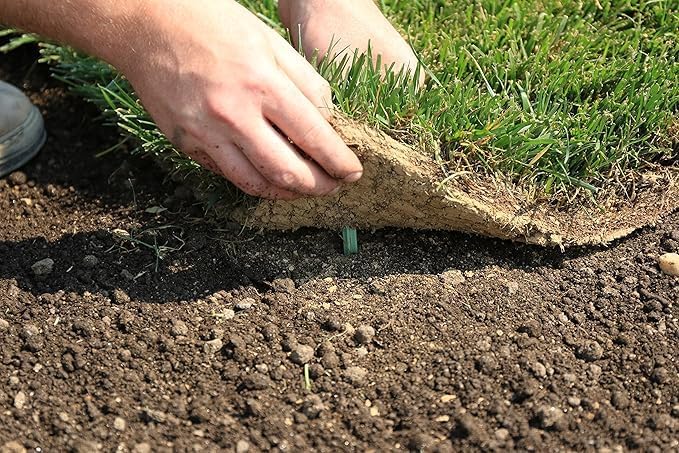 Pack of 50 - GreenStake 4-Inch Biodegradable Garden Stakes, Superior Holding Power - Eco-Friendly Garden Support Pegs & Fabric Pins for Membrane, Netting, Turf, Landscaping and Gardening