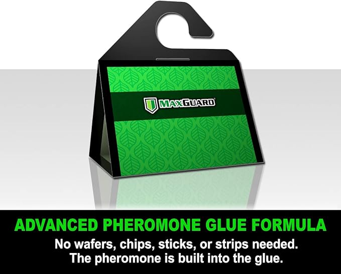 MaxGuard Birdseed Pantry Moth Traps (10 XL Pack) Extra Strength Pheromones | Non-Toxic Extra Large Sticky Glue Trap for Bird Seed Storage Areas | Attract, Trap and Kill Moths