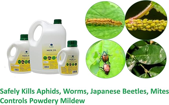 Deepthi Pure Neem Oil for Plants – 16.9 Fl Oz (500 ml) – Cold Pressed Natural Garden Spray – Kills Aphids, Mites, Caterpillars, Beetles – Insecticide & Fungicide for Indoor Outdoor Use