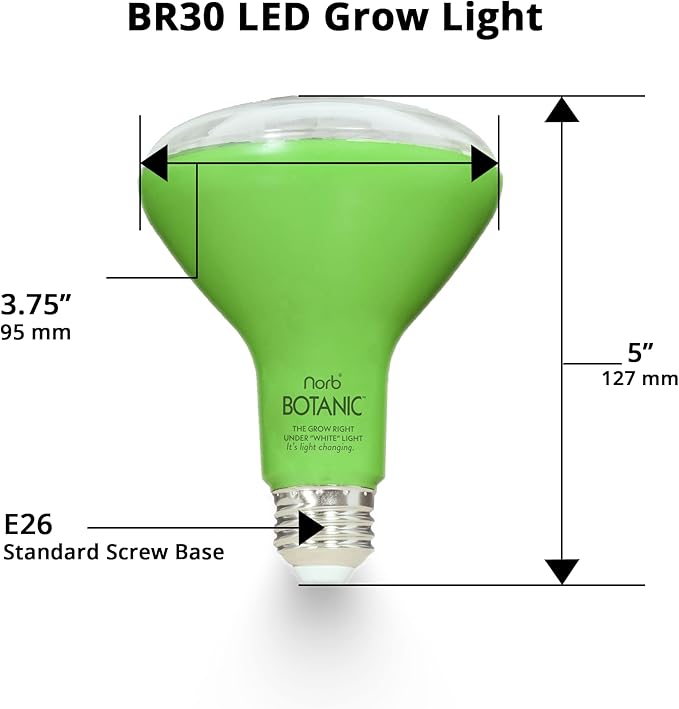 NorbBOTANIC BR30 LED Grow Light – Full-Spectrum Sunlight Bulb for Indoor Plants - 14W Energy-Efficient Grow Lamp for Indoor Houseplants, Herbs, Seedlings & Tropical - E26 Base (2-Pack)