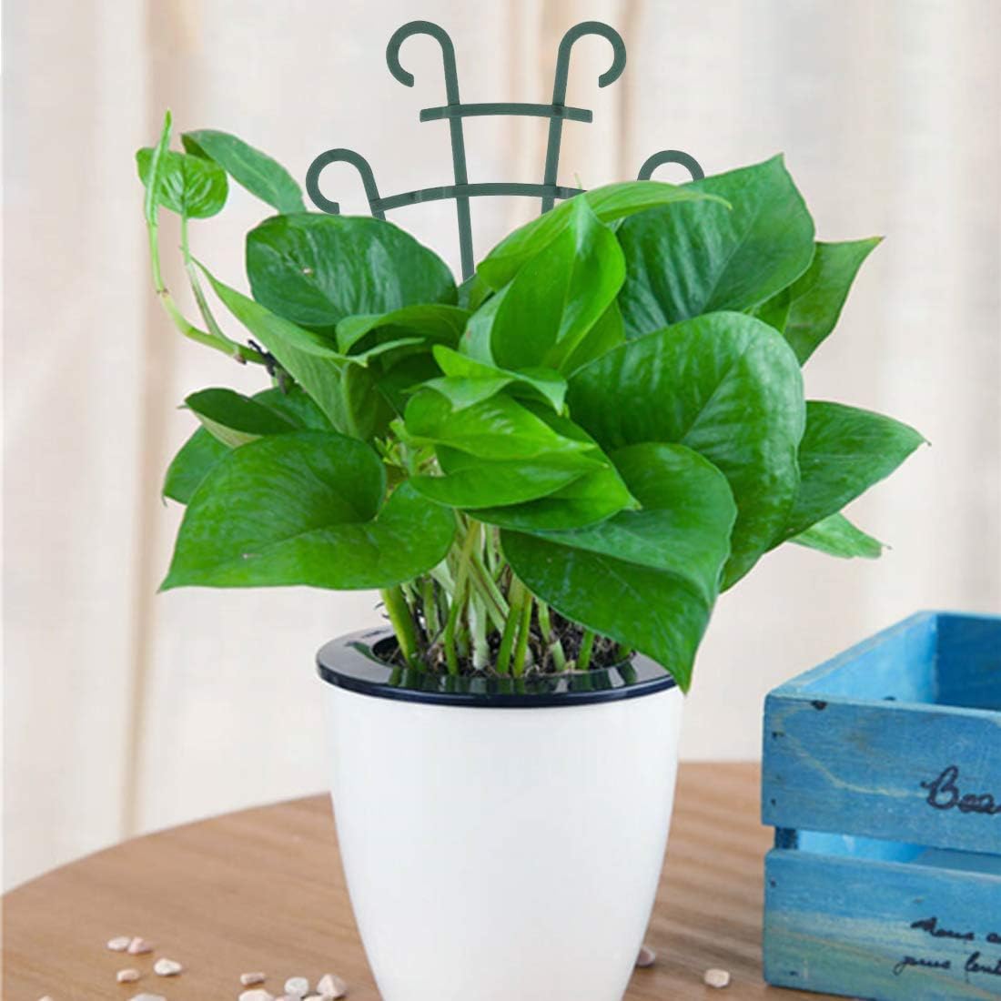 Trellis for Potted Plants, Stackable Small Indoor Plant Trellis for Climbing Plants Outdoor for Vine Ivy Hoya Houseplants Flower Plant Support, 4 Pack