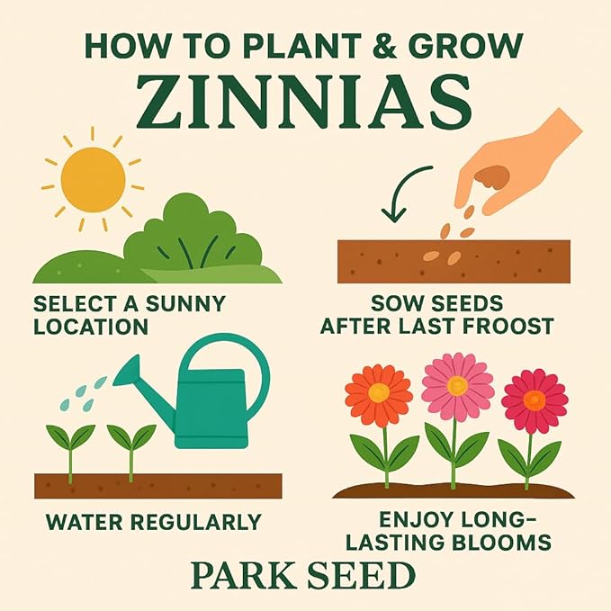 Park Seed Zinnia Flower Planting Seeds, Easy to Grow, Perfect for Spring Garden, Zowie! Yellow Flame, Pack of 15