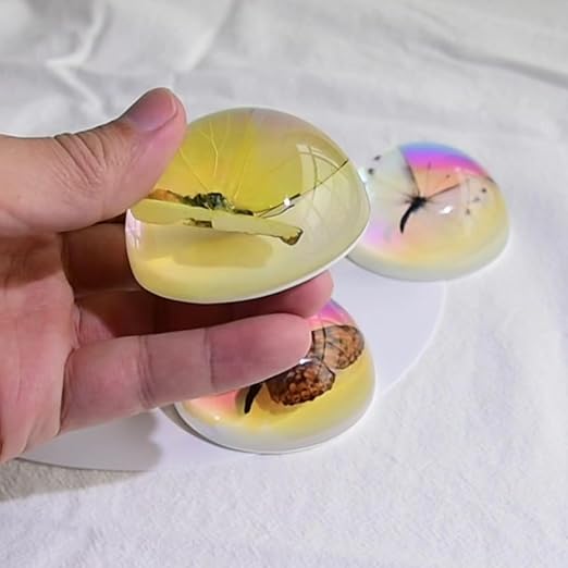 Real Butterfly Specimens, Resin Insect Specimens, Educational Bugs Specimen Set for Kids, Preschool Education, Biology, Insect Lovers (Butterfly Specimens)