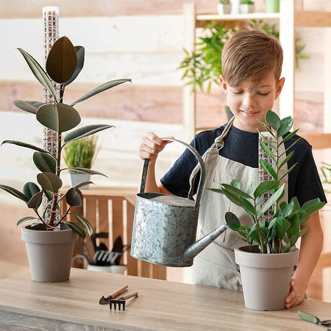 Moss Pole,Small Moss Pole Monstera Plant Support,Plastic Moss Pole for Plants Indoor and Climbing Plants-Mighty Plant Support.(White,2)