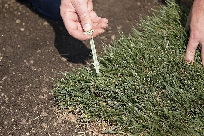 4-Inch Biodegradable Stakes, Pack of 500 - Superior Holding Power Stakes, Sod Staples for Weed Fabric, Eco-Friendly Garden Support Pegs & Fabric Pins, Netting,Turf, Landscaping and Gardening