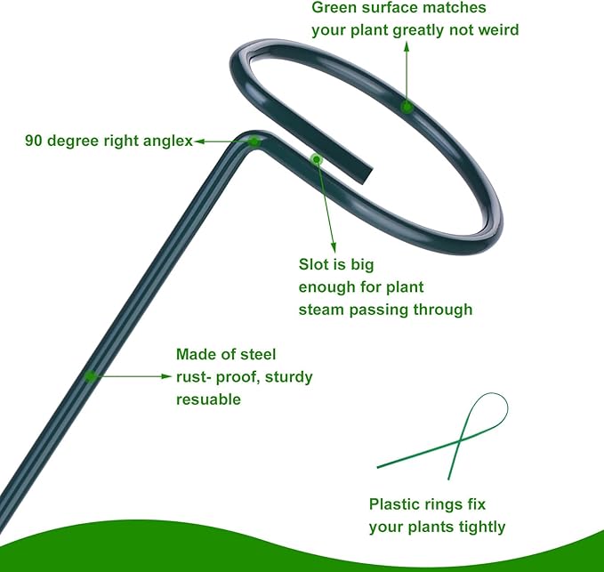 2 Pack (DIY) Plant Support Stakes, Three Sizes (12 or 24 or 36 inch) Plant Support Rings with 20 Pcs Plant Twist Ties, Garden Stake for Indoor Outdoor Plant Flowers, Amaryllis, Tomatoes