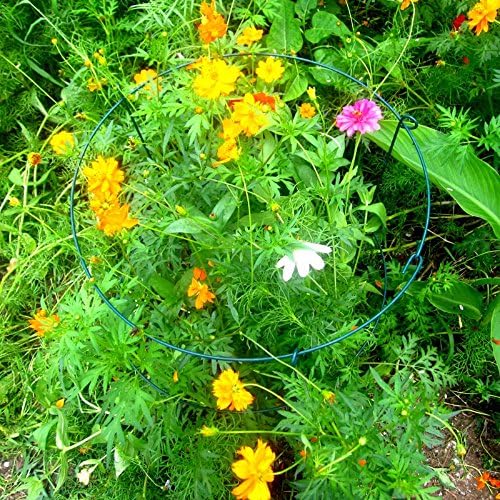 36" x 18" Peony Double Ring Plant Support, Pack of 10 Plant Support Stakes for Tomatoes Peony Lily Rose Plant Support Rings Peony Cages for Outdoor Plants Flowers Vegetables