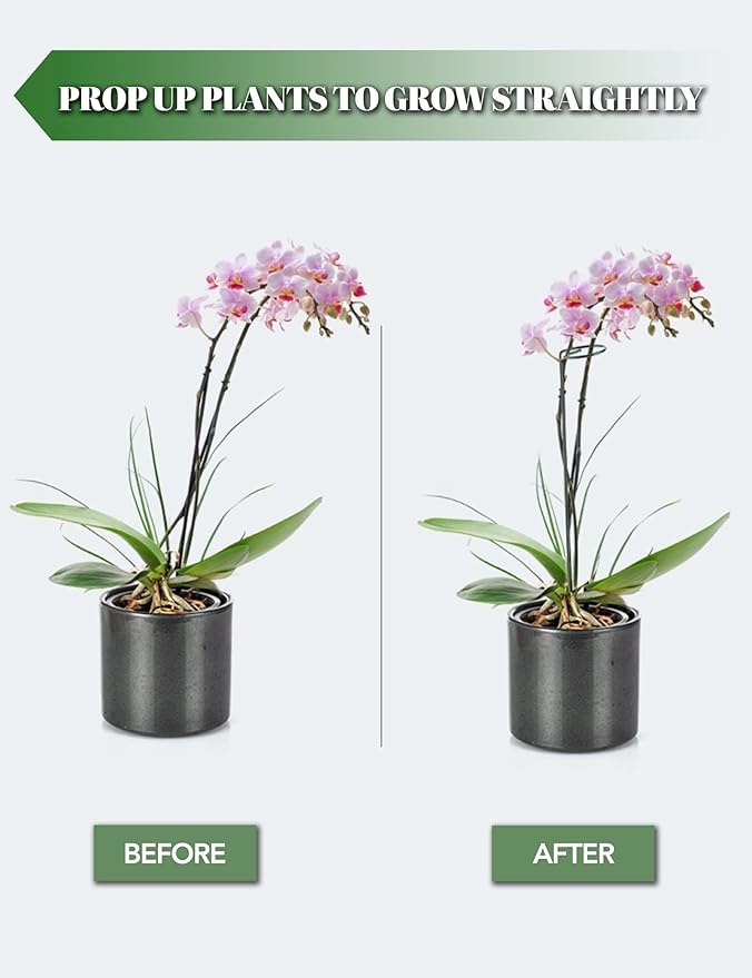 Joyhalo 6 Pack Plant Stakes and Supports, 16 Inch Flower Stakes and Support for Garden Outdoor Plant, Phalaenopsis, Paperwhites, Oriental Lilies, Zinnias, Orchids, Delilah, Lily, Rose, Bean Plants.