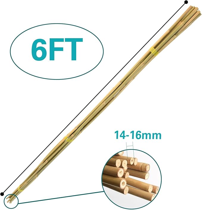 Bamboo Stakes 6 Feet 20pcs, 72" Garden Stakes Multi-Purpose, Bamboo Plant Support Stakes for Tomatoes, Beans, Cucumbers, Peppers, Potted Trees, Maintain The Plant Posture, Strengthen and Stem