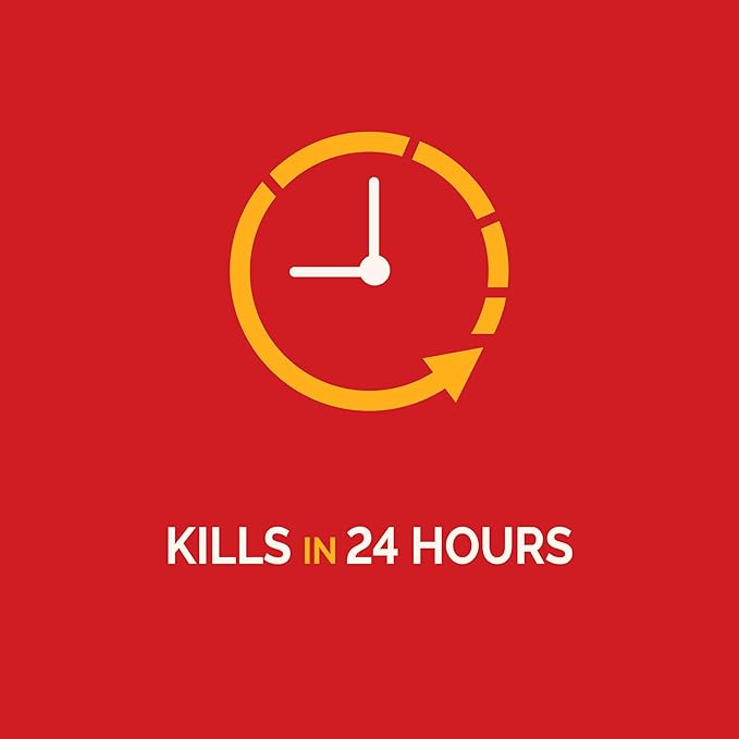 Hot Shot Ultra Liquid Ant Bait, 4 Count, 1 Pack