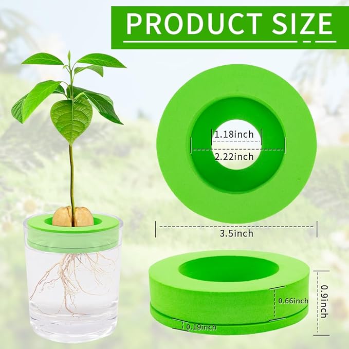 Avocado Tree Growing Kit, 4 Pack Green EVA Foam Avocado Growing O Ring, Plant Pot Plant Easy Seed Sprout Grow, Floating On Water, Seeds Growing Gifts for Family Friends and Gardening Enthusiasts