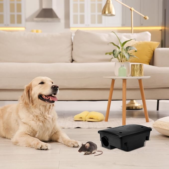 Qualirey 12 Packs Rat Bait Station Box Outdoor Rodent Rat Traps with Key Mouse Bait Station Indoor Mice Box for Outdoor Use Keeping Pets and Children Safe