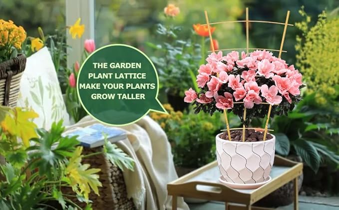 Bamboo Garden Trellis - 24 Inches Tall, 3 Pack - Perfect for Climbing Plants, Vegetables, and Pots - Enhance Your Garden with Natural Bamboo ，2Ft Plant Trellis Indoor