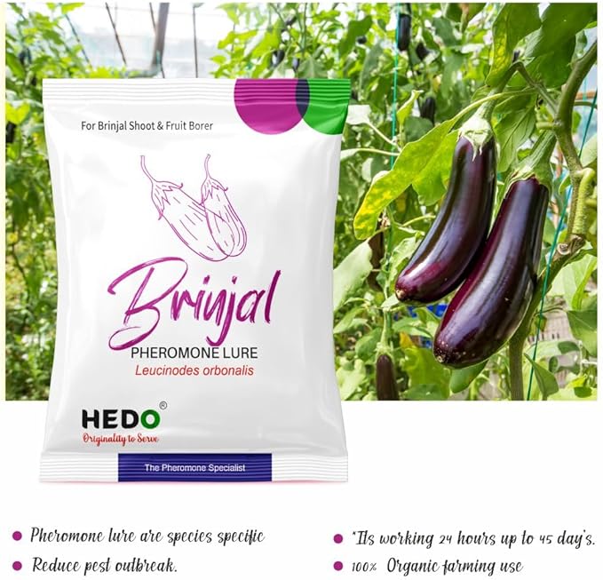 HEDO Pheromone Trap with Brinjal pheromone Lure(Leucinodes orbonalis) for Brinjal Crop Pack of 10
