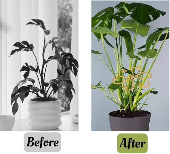 Plant Stem Supports Holder 3pcs Iron Grapple Holder Climbing Plant Stakes for Indoor Plants Upgraded Rock Climbing Home Potting Support Stake Plants Stem Holder for Leaf Stabilization (Flower Goldern)