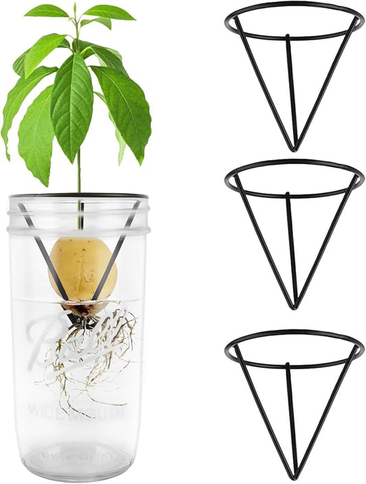 Plus tard 4Pcs Avocado Seed Starter Rack for Mason Jar of Wide-Mouth, Avocado Seed Holder Triangular Metal Bracket for Family Friends and Gardening Enthusiasts