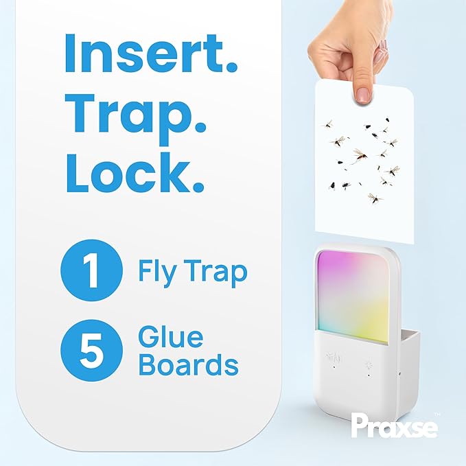 Plug-in Fly Trap NightLight - RGB Insect Catcher for Mosquitoes, Gnats, Fruit Flies, Indoor Insect Trap, Color-Changing Lamp for Home, Kitchen,Office (2 Devices with 10 Sticky Pads)