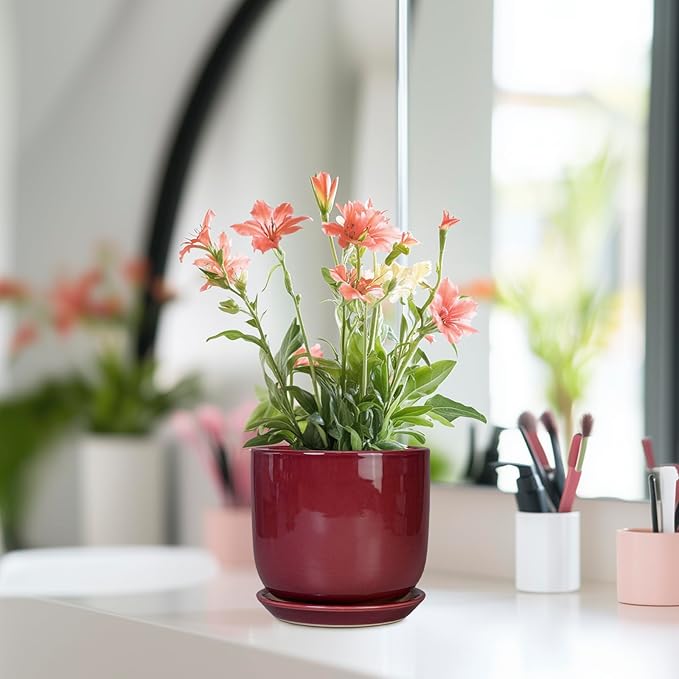 Ceramic Plant Pot - 5 Inch Modern Round Planter for Indoor Plants with Drainage Hole and Saucer, Patio Office House Room Bathroom Decor, Red