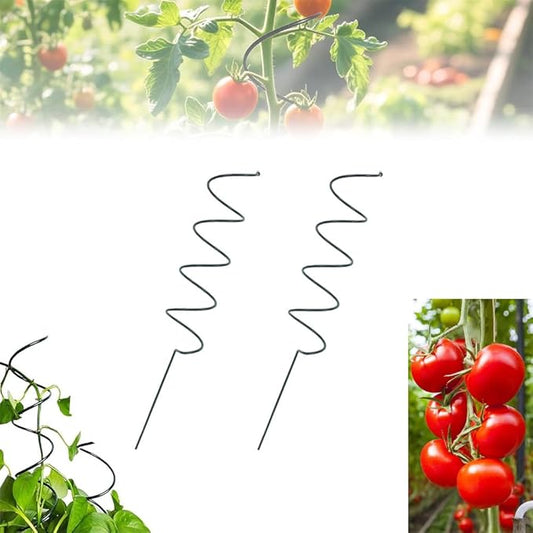 Tomato Twist Stake, Tomato Twist, Twisted Tomato Stakes, Spiral Tomato Stakes, Climbing Plant Stake Tower Plant Supports (2PCS)
