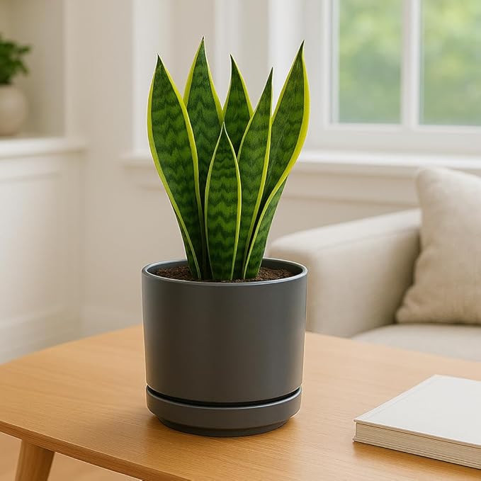 Mid Modern Planter with Detached Saucer (Jet Grey,14.0" D x 12.0" H)