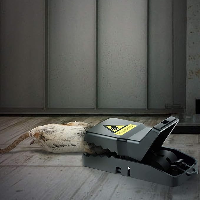 Rat Traps, Large Mice Traps for House, Mouse Trap Indoor Quick Effective Sanitary, Mice Snap Trap, Safe Rat Trap Catcher for Family and Pet