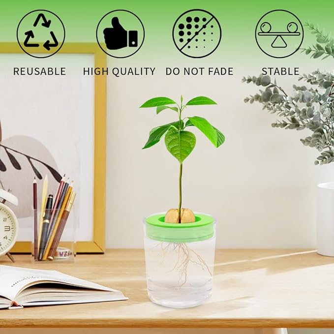 Avocado Tree Growing Kit, 4 Pack Green EVA Foam Avocado Growing O Ring, Plant Pot Plant Easy Seed Sprout Grow, Floating On Water, Seeds Growing Gifts for Family Friends and Gardening Enthusiasts