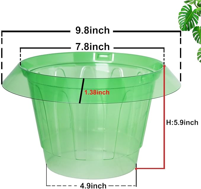 6 Pack Slug Collars for Plants,Medium-Sized Snail Protection Ring, Provides Effective Protection Against Snails for Your Salad Plants and Others Plants.