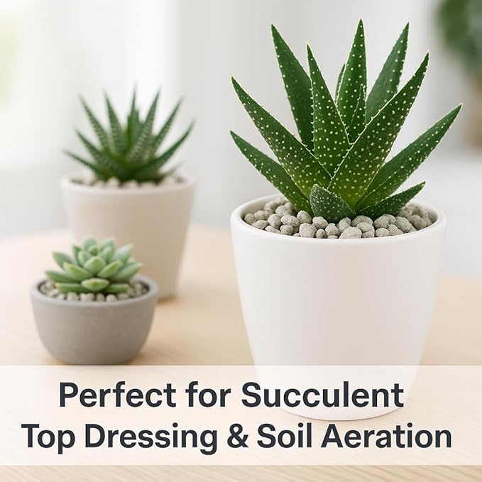 Horticultural Pumice for Plants, Natural Pumice Stone Soil Amendment, 3/8-1/4 inch, Made in USA (5 quarts - 4.5 lbs)