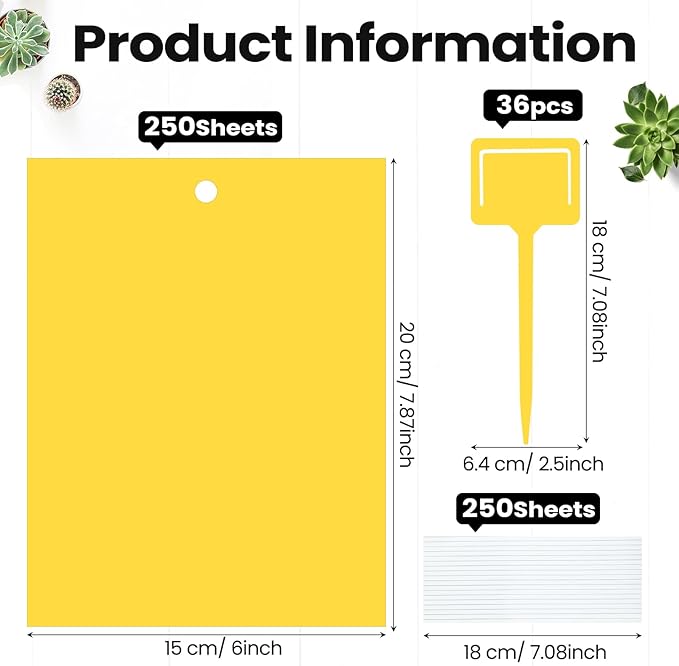 Qualirey 250 Pcs 6 x 8 Inch Sticky Traps for Gnats Dual Sided Fruit Fly Sticky Traps for Indoor and Outdoor Plant with Twist Ties and Plastic Holders for Flying Plant Insect, Fungus Gnats (Yellow)