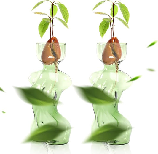 Propagation Vases for Plants Plant Propagation Jars Unique Body Avocado Vase Glass Planter Perfect for Seed Starting Water Rooting and Home Decor Gift for Father