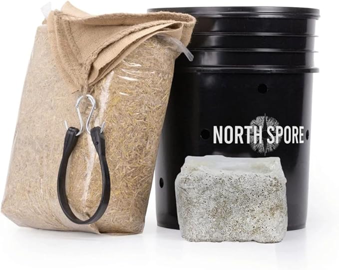 North Spore 'MushBucket' Pink Oyster Mushroom Bucket Grow Kit | Grow Mushrooms | Organic Mushroom Grow Kit