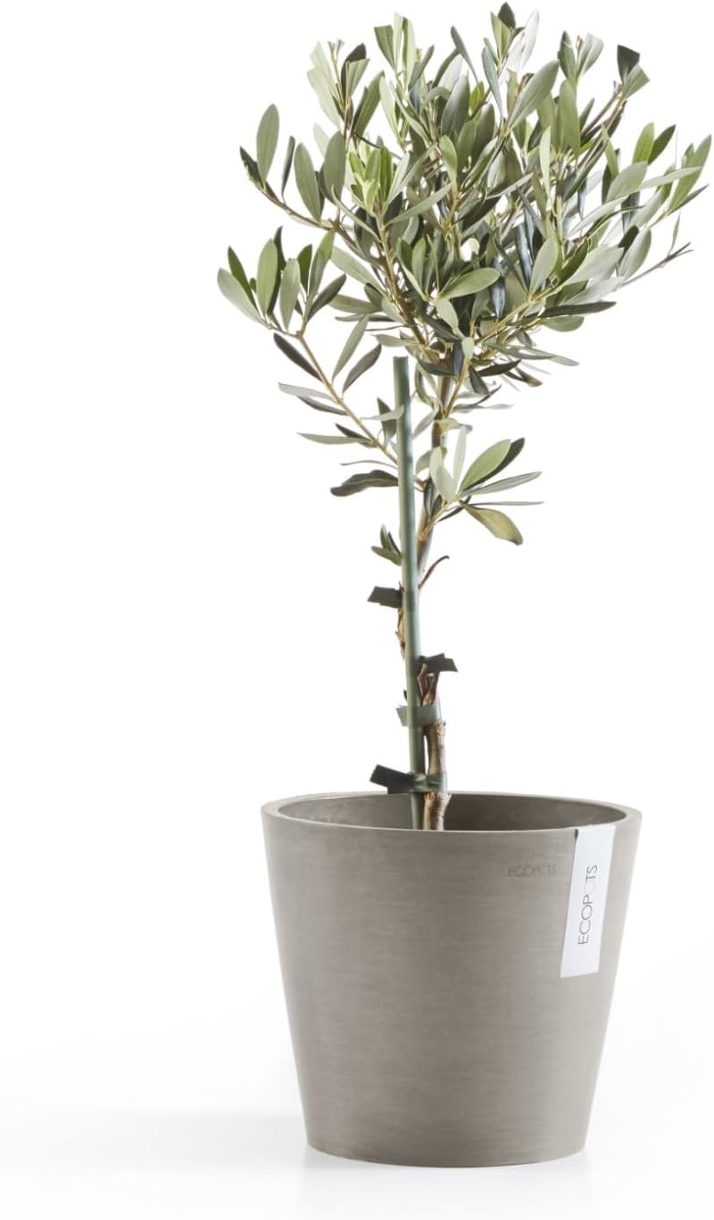 Ecopots Amsterdam Durable Modern Round Indoor/Outdoor Recycled-Based Composite Flower Pot Planter, Taupe, 8"