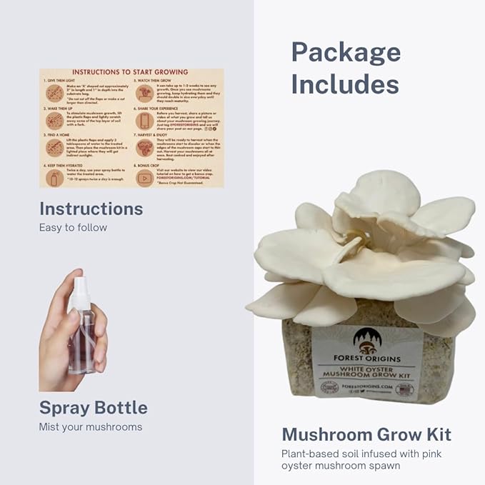 White Oyster Mushroom Grow Kit, Beginner Friendly & Easy to Use, Grows in 10 Days | Handmade in California, USA | Top Gardening Gift, Unique Gift