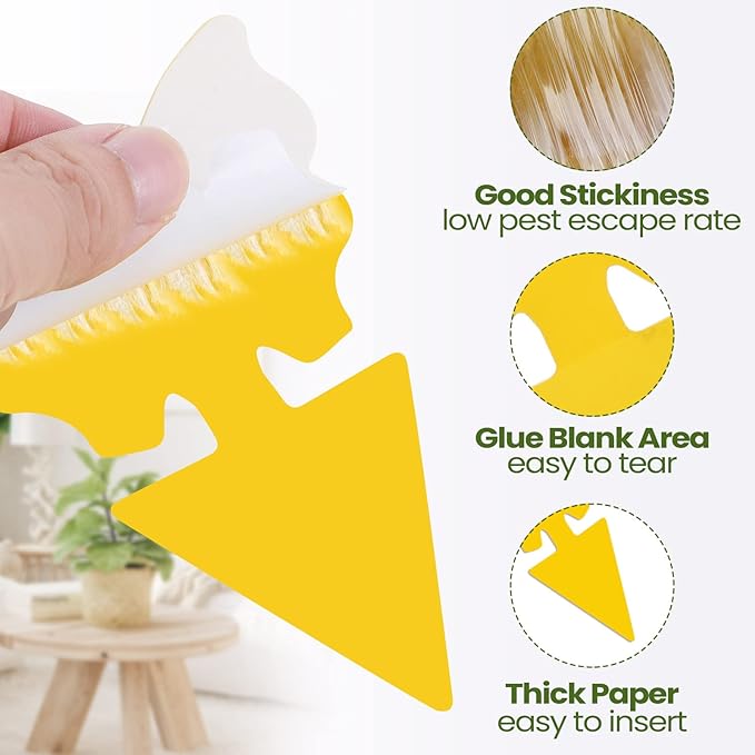 200 Sheets Fruit Fly Sticky Traps for Fruit Fly Gnat Trap for House Indoors Sticky Traps Catcher for Gnats Fungus Gnats Mosquito Catcher for Kitchen Outdoor Plants(Yellow)