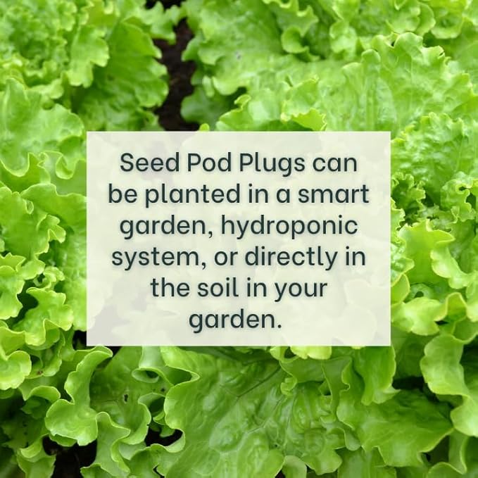 Gourmet Looseleaf Lettuce Blend - Complete Seed Pod Plugs with Plant Food - 10 Pods for Hyrdoponic Gardens, Click and Grow, Lettuce Grow and Outdoor Gardens