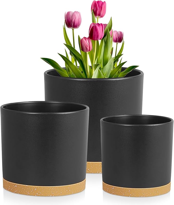 10/8/6 inch Large Deep Plant Pots for Outdoor Indoor Plants, 3 Pack Tall Cylinder Flower Pots with Drainage Holes and Saucers, Big Plastic Planter Pots for Garden House Porch, Black with Brown